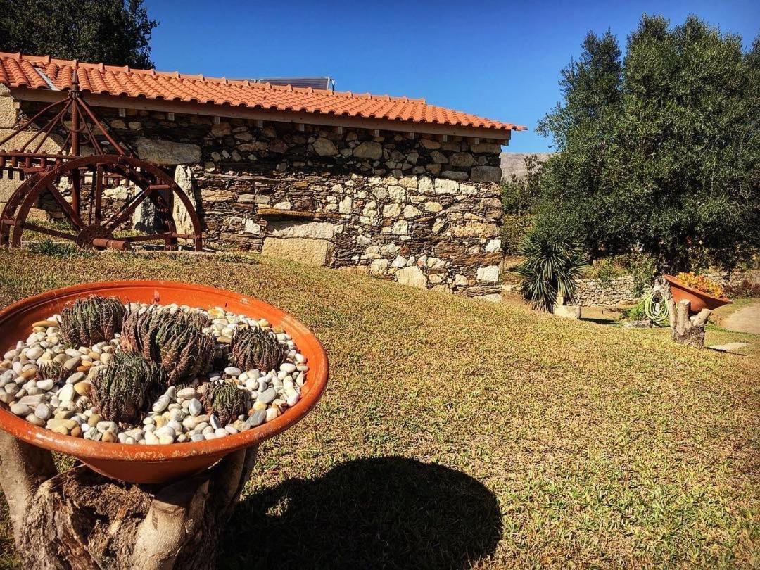 ויאנה דו קסטלו Quinta Do Fortunato מראה חיצוני תמונה
